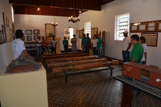 Museu de Eucalyptus